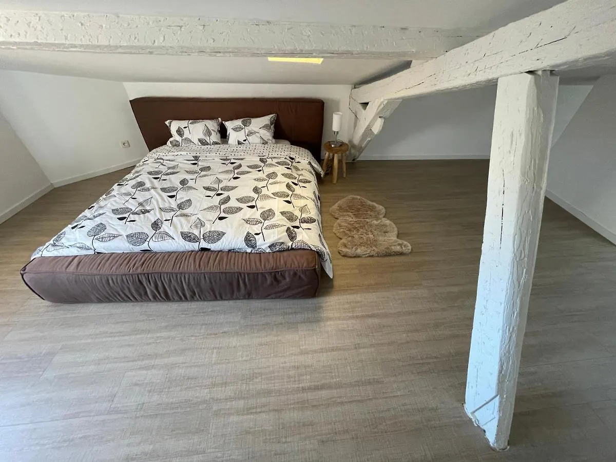 Duplex Quartier Saint-Sernin, Toulouse Apartment