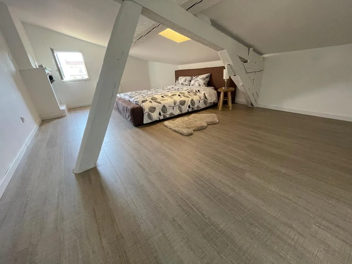 Duplex Quartier Saint-Sernin, Toulouse Apartment France